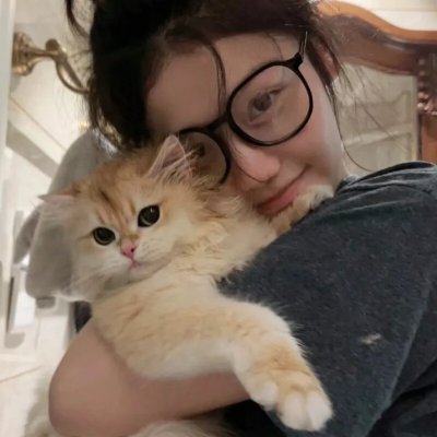 犬夜叉：镜中的梦幻城